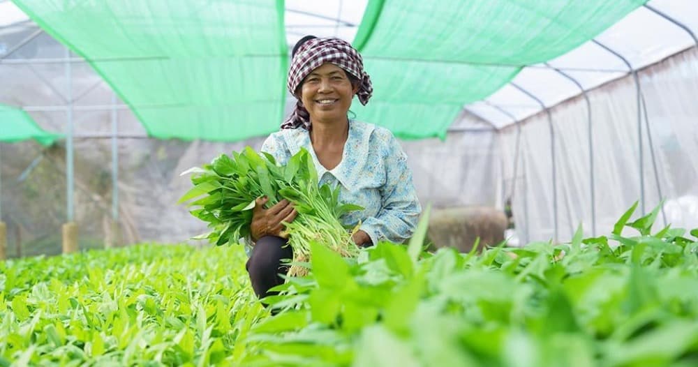 ADB អនុម័តកញ្ចប់ហិរញ្ញប្បទាន ៧២ លានដុល្លារ ដើម្បីគាំទ្រកសិកម្មធន់នឹងការប្រែប្រួលអាកាសធាតុ និងបង្កើនឱកាសរកចំណូលសម្រាប់ស្ត្រីនៅជនបទក្នុងប្រទេសកម្ពុជា