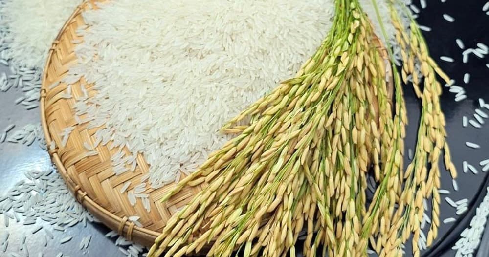 Cambodia’s Milled Rice Exports Surpass One Million Tonnes in Historic Milestone