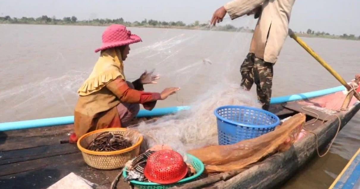 ក្រសួងកសិកម្មប្រកាសបើករដូវនេសាទនៅតំបន់ជលផលទឹកសាប ឆ្នាំ២០២៦-២០២៧